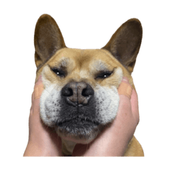 tetsu_20250904131030