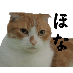 hirosi_20250904133040