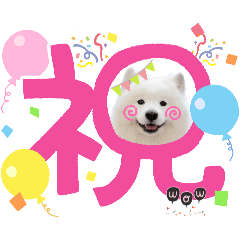 fou-qua-sse8_20250904114540