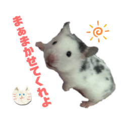 m_123456789105408