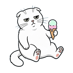 grumpy cat: Scotish Fold