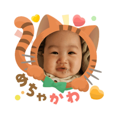 hasekoh_20250904184412