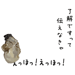 Ehho nmagakisan