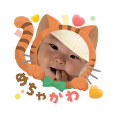 myg_20250904140858