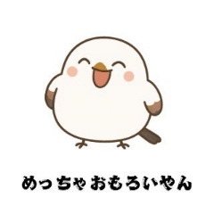 Kansai-accented Shima-enaga