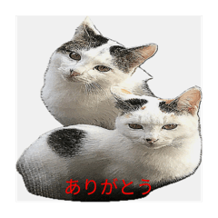 M_20250904143529