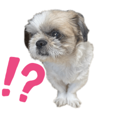 Ahahaha_20250905010350