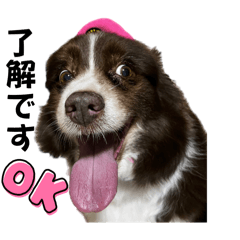 Kurumi_20250905013122