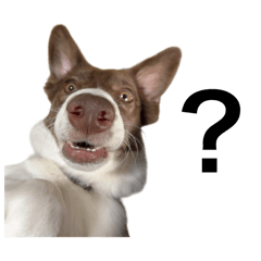 momokachan_20250903213358