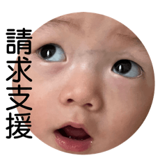 烏龍麵ㄟ日常用語