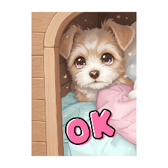 sugar_20250904204209