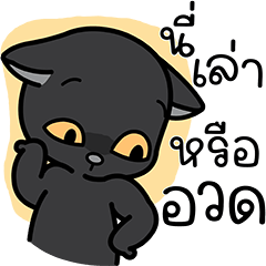 โอเลี้ยง : แมวกวนกวน