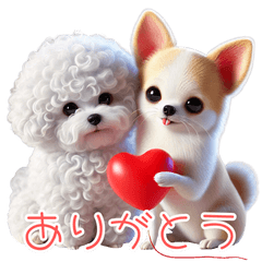 Bichon Frise and Chihuahua ! 3D Real