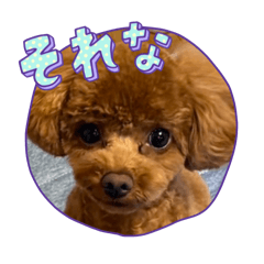 kanako.k_20250904212243