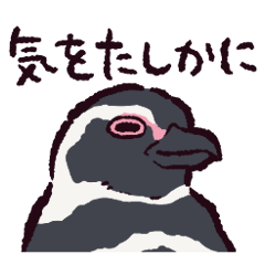 Magellanic penguin