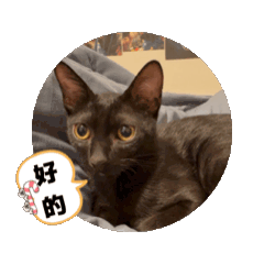 Wei_20250904190928