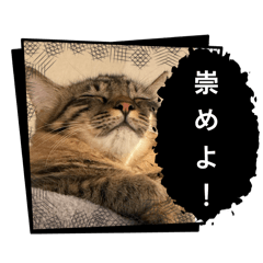 Kelly_20250905004758