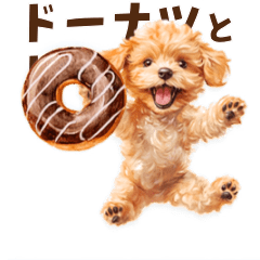 Sweet Toy Poodle in Donut Time