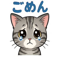 Adorable Kittens Daily Stickers2