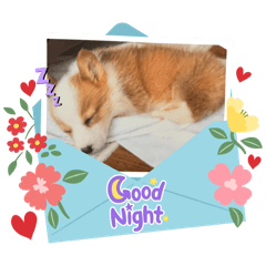 Sakura_20250904213616