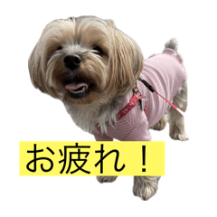 kazuki_20250904214616