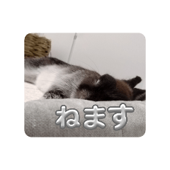 anna_20250904215307