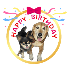 cocoa_20250904215552