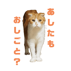 hirosi_20250904090946