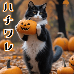 popup hatiware autumn