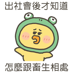 小黃呱出社會後才知道