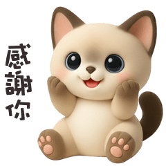 ^•ﻌ•^ฅ 小貓貓感謝你