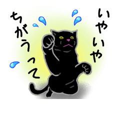 Black Cat NOA 2