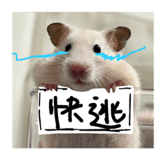 實習牙醫師芋頭