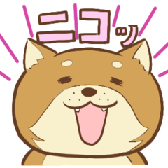 Shiba Inu-chans Daily Life