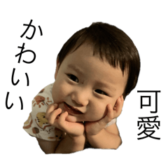 小QTJ