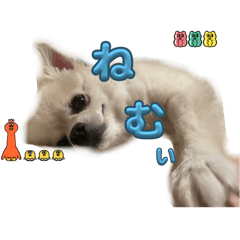 mashu_20250905111105