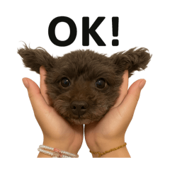 Yamaguchi Purin diary 2