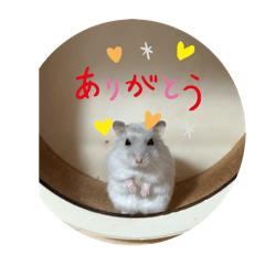 hamuhamu_20250904223759