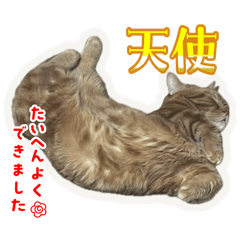 Yuka_20250905144108
