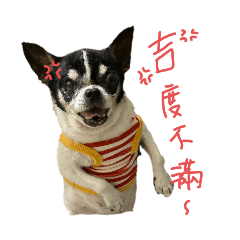 圓吉妹其實很可愛～