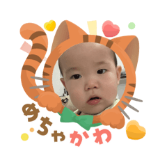 m_20250905081728