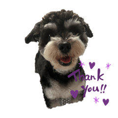 miyuu_20250905092612