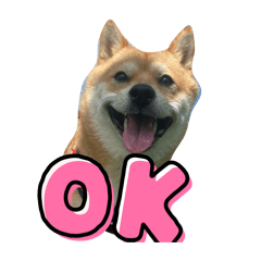 You_20250905104428