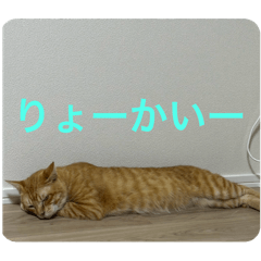 k_20250905122054