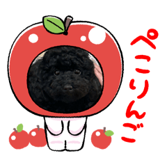 KOTO_20250905162343
