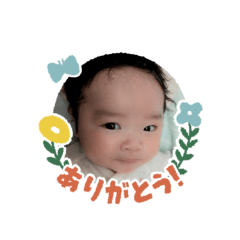 sakura_20250905210013