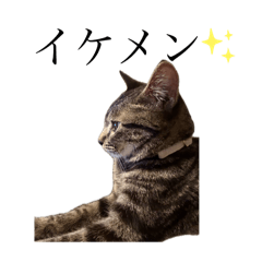 kyona_20250905212041