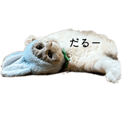 Hana_20250905152032