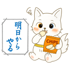 nyanpitubiyori_20250905220859