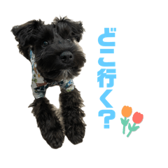 sachi_20250905221606